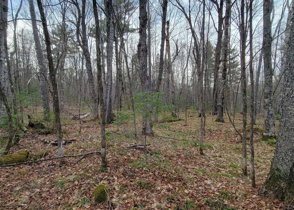 property-listing