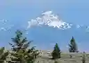 listing-thumbnails