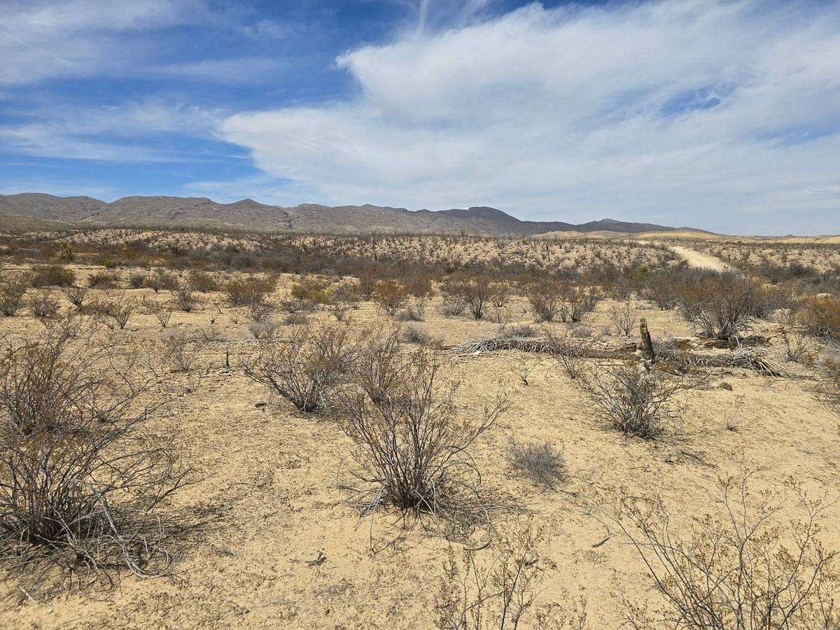 Green Homes for Sale - Terlingua, Texas Green Home