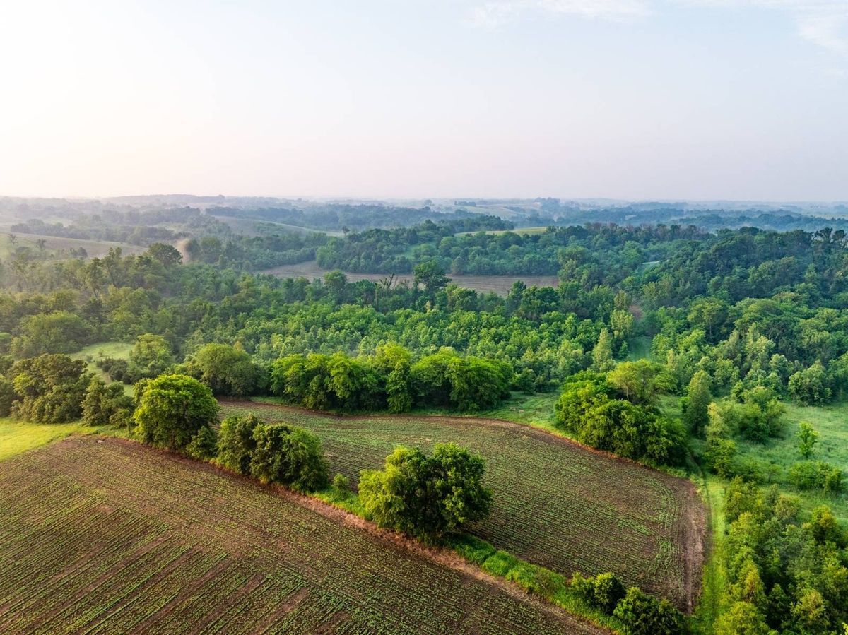 property-listing