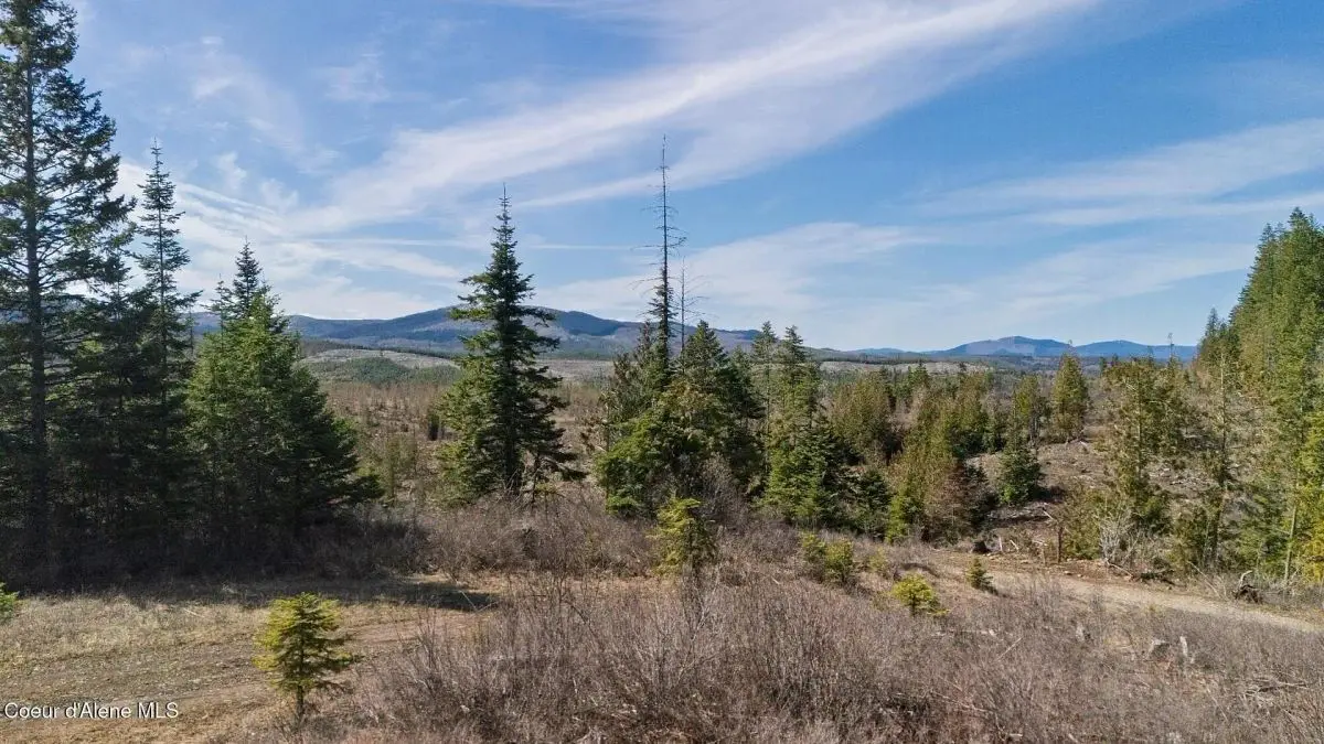 property-listing