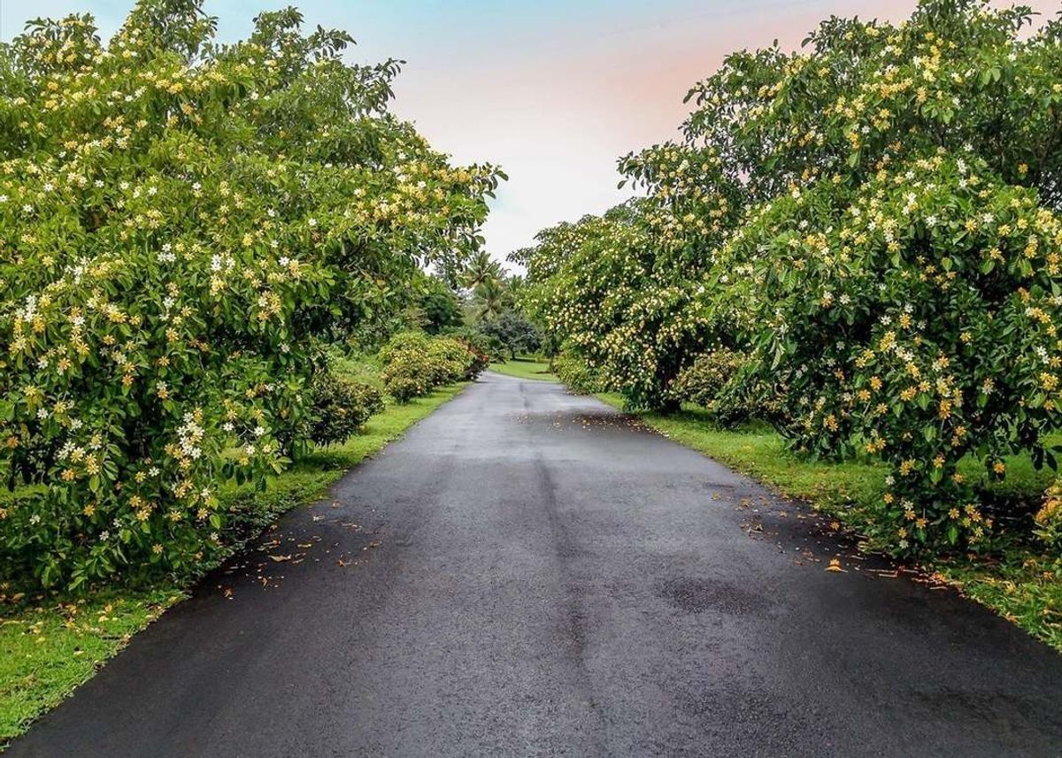 property-listing