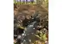 listing-thumbnails