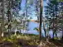 listing-thumbnails