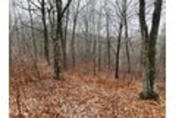 listing-thumbnails