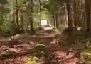 listing-thumbnails