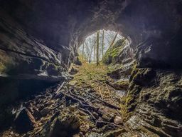 listing-thumbnails