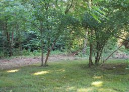 listing-thumbnails