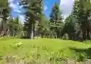 listing-thumbnails