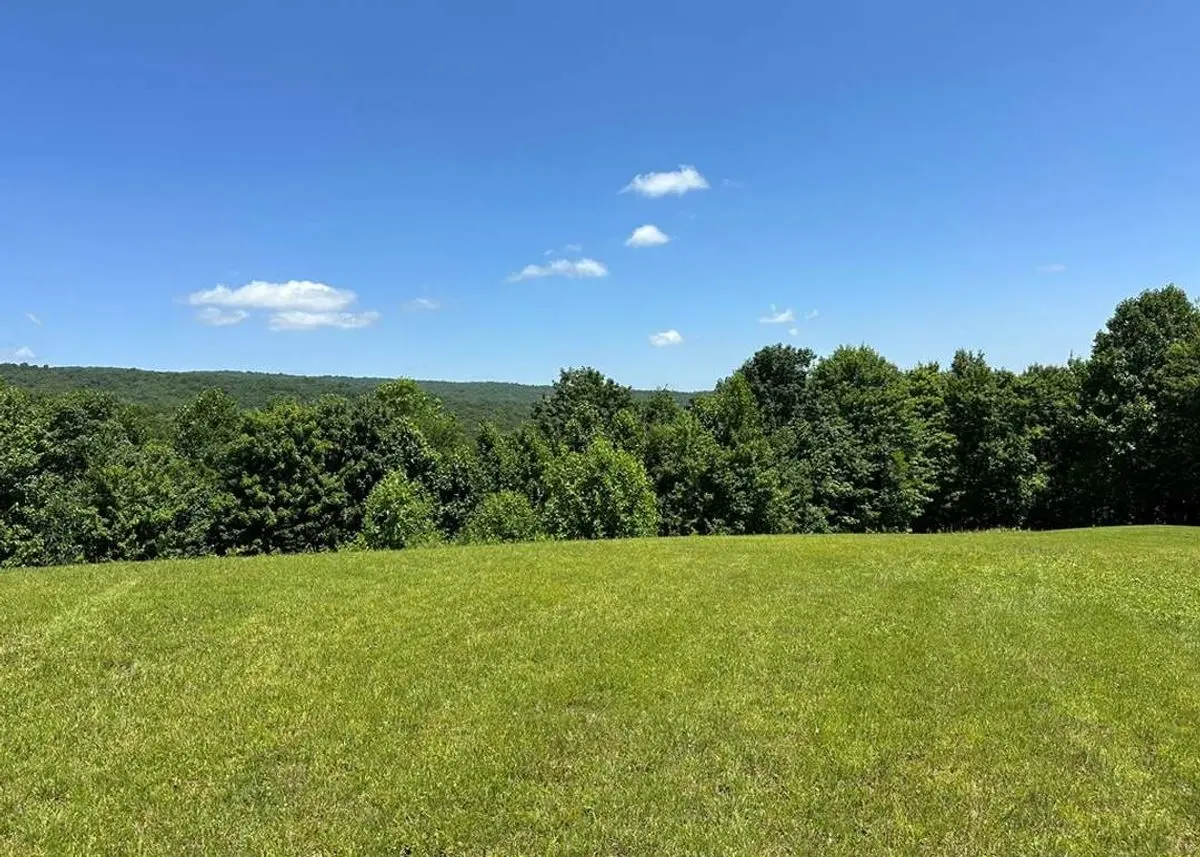 property-listing