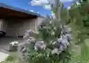 Photo 28 of green home in Gerlach, Nevada