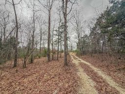 listing-thumbnails