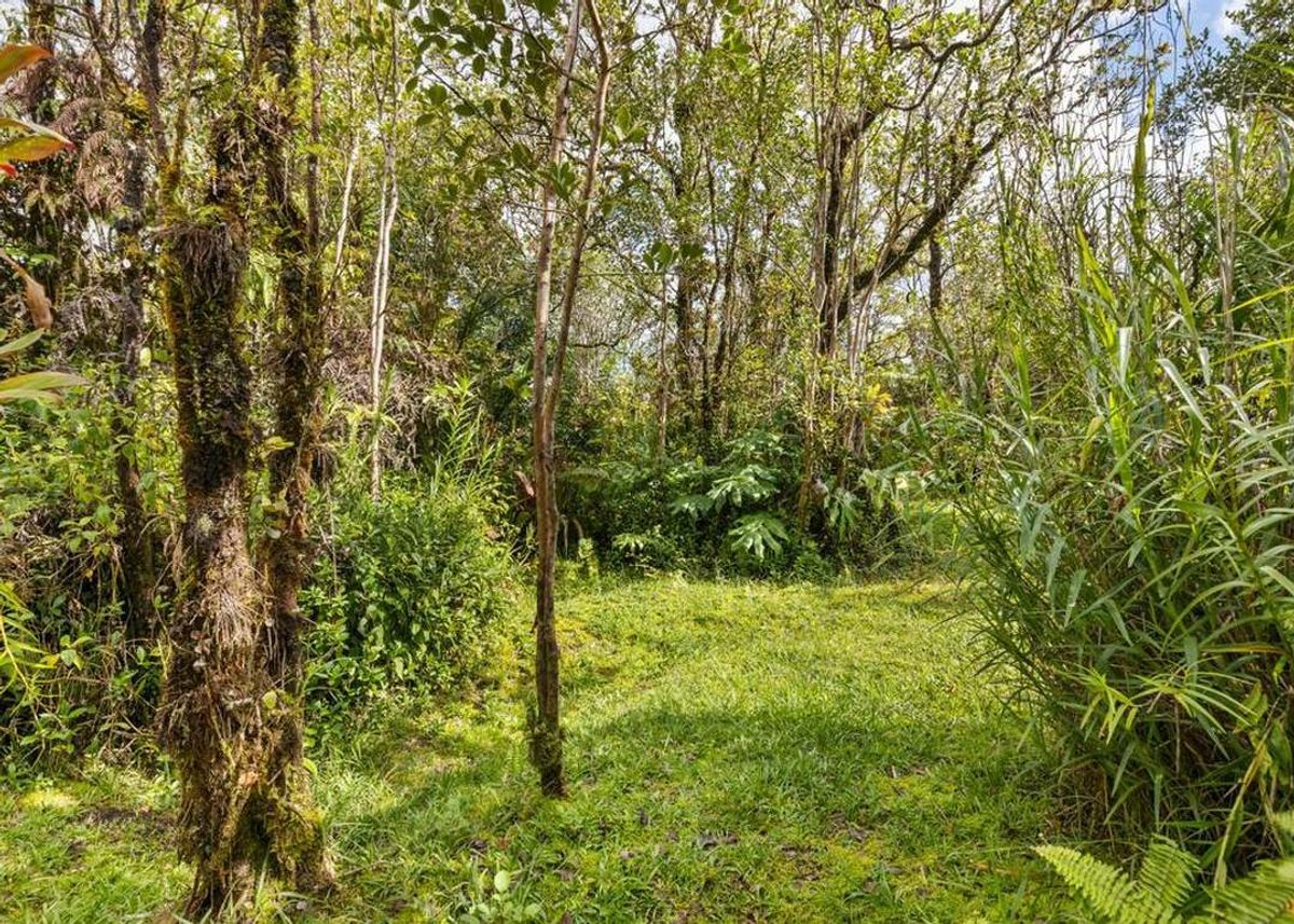 property-listing