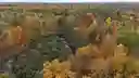 listing-thumbnails