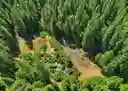 listing-thumbnails