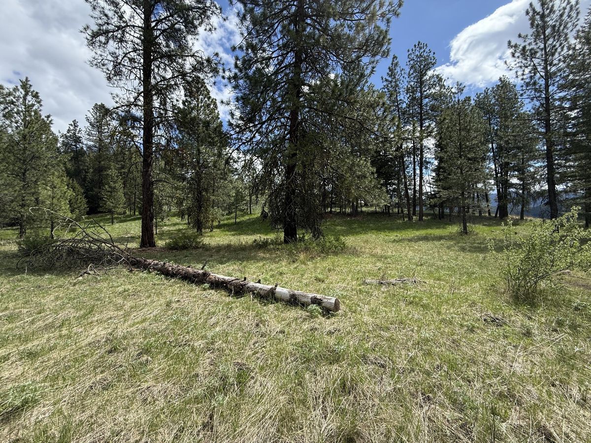 property-listing