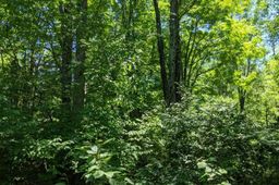listing-thumbnails