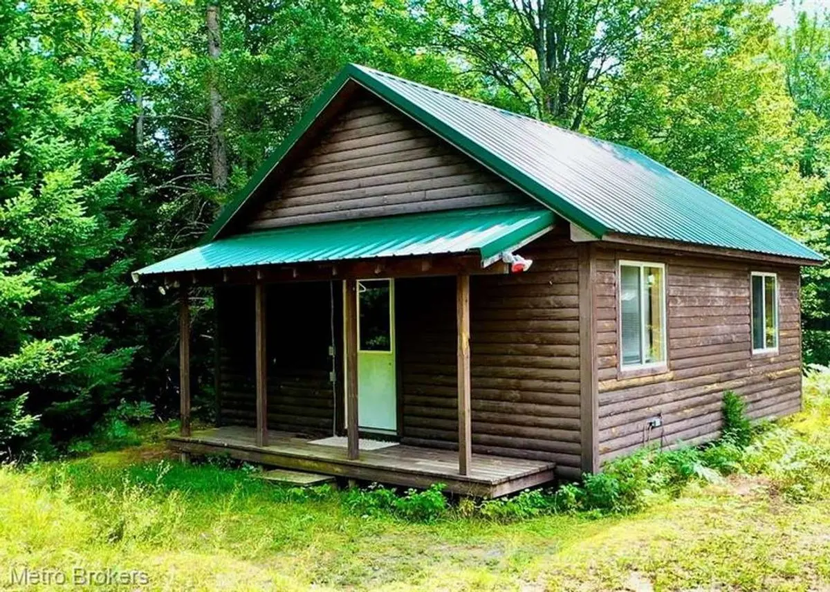 Green Homes for Sale - Mc Millan, Michigan Green Home