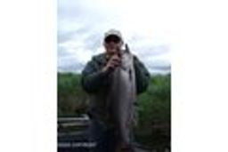 listing-thumbnails