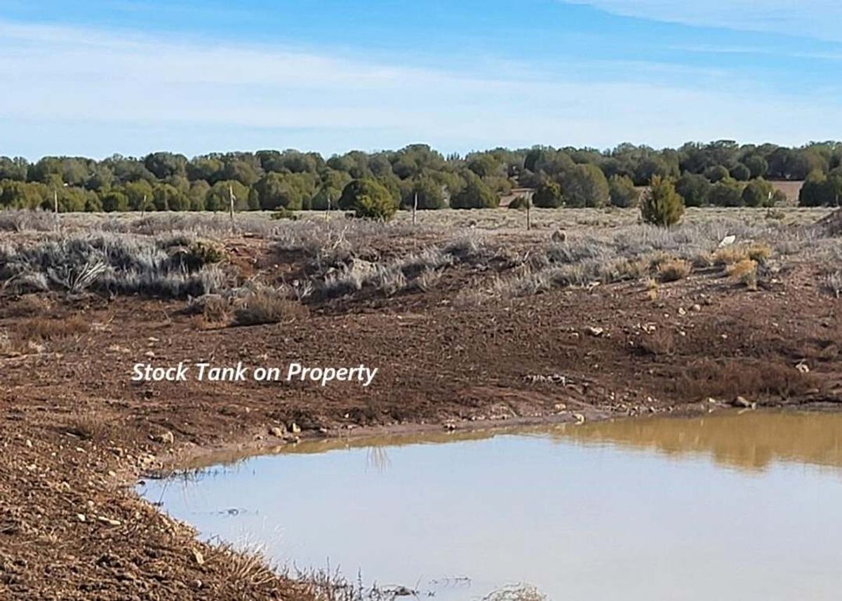 property-listing