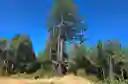 listing-thumbnails