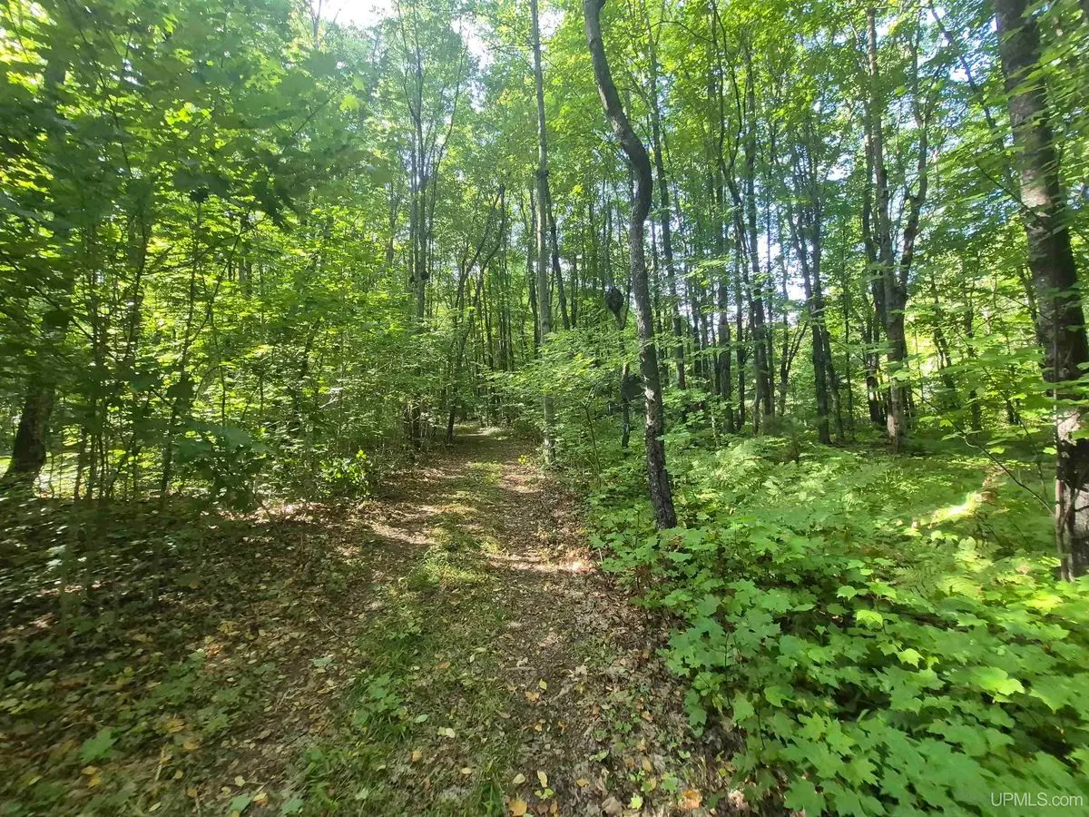 property-listing