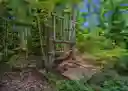 listing-thumbnails