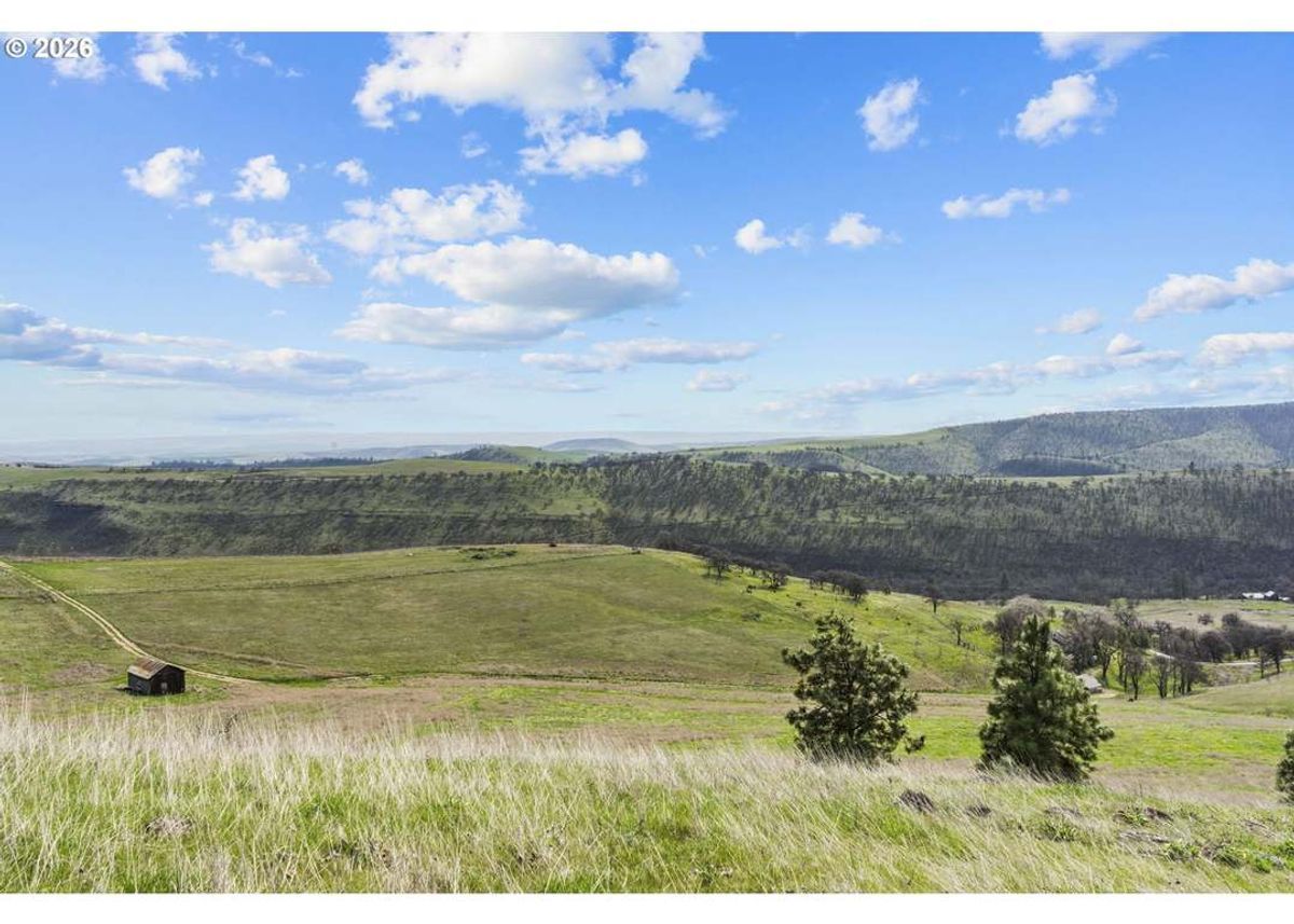 property-listing