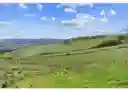 listing-thumbnails