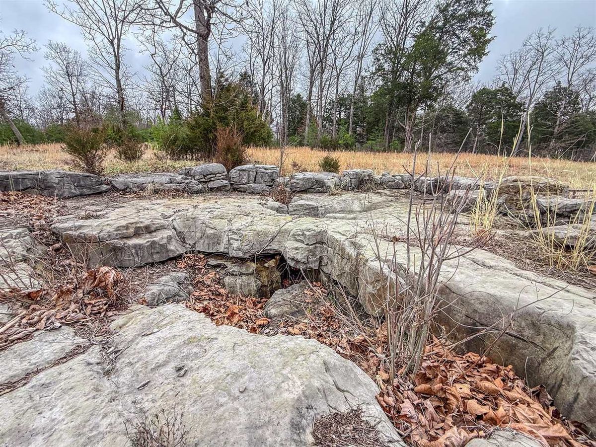property-listing