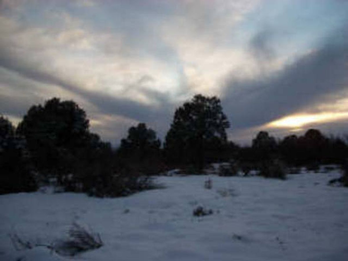 Green Homes for Sale - Dolores, Colorado Green Home