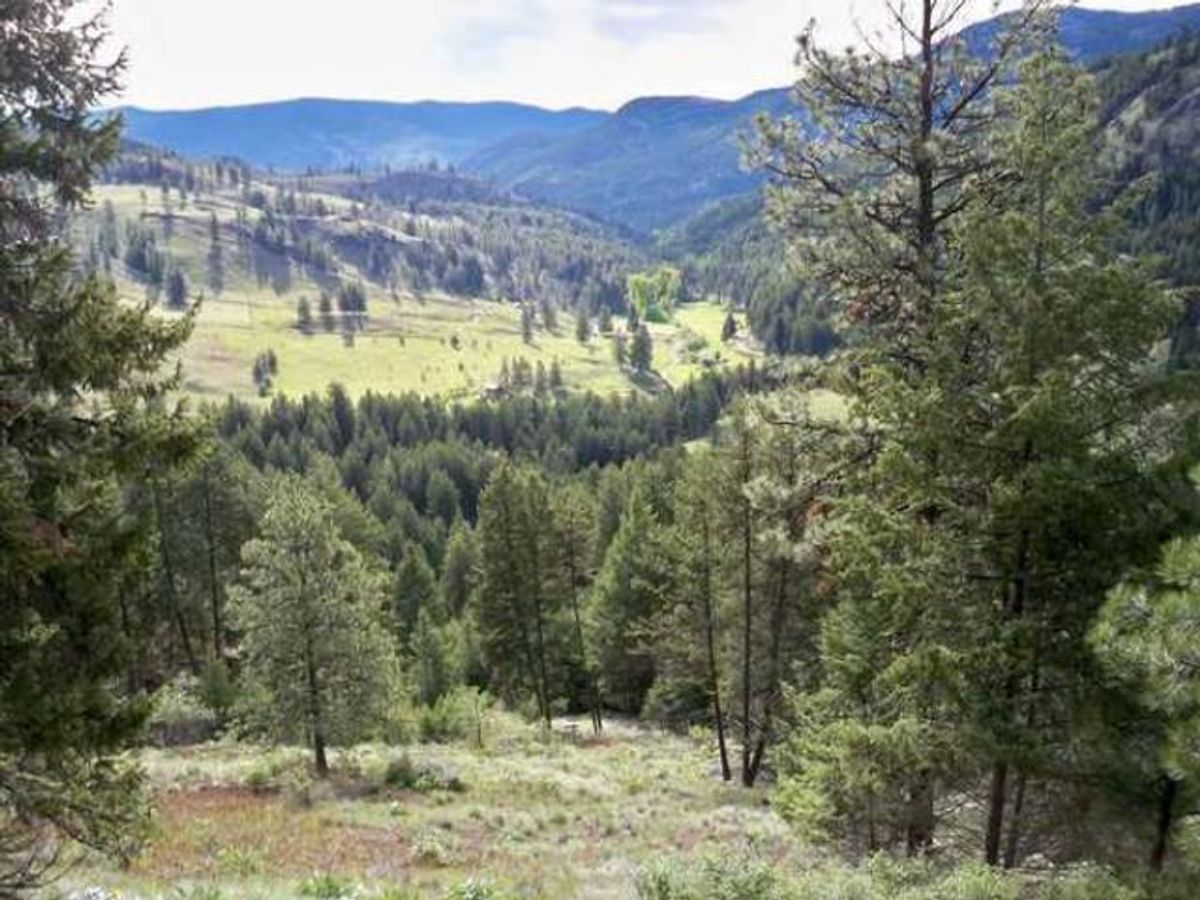 Green Homes for Sale - Wauconda, Washington Green Home