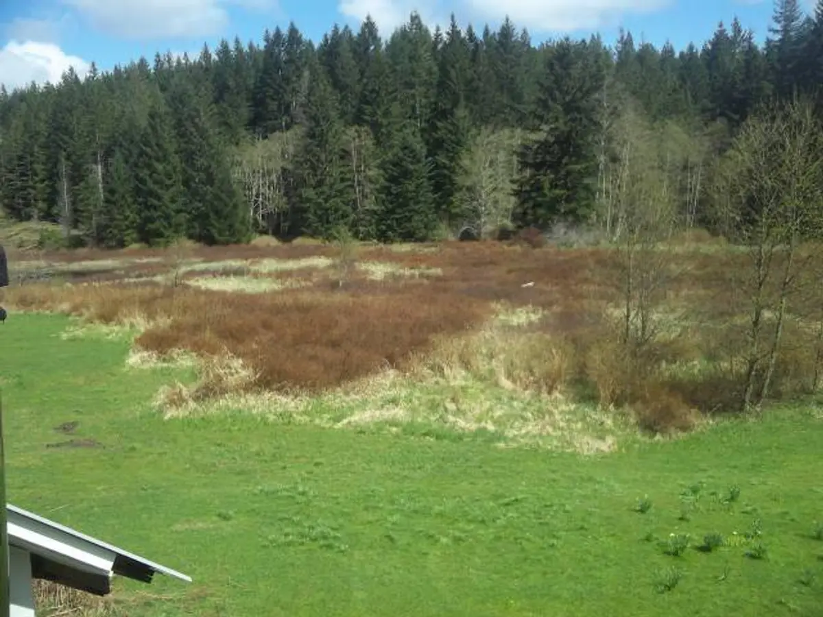 Green Homes for Sale - Heriot Bay, British Columbia, Canada Green Home