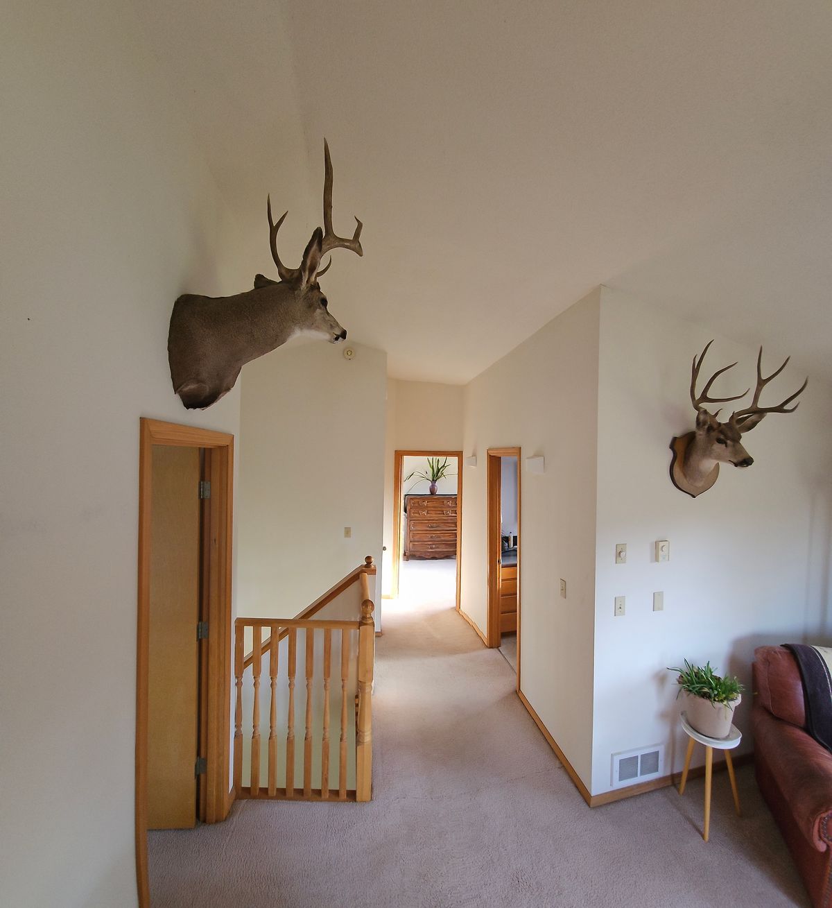 property-listing