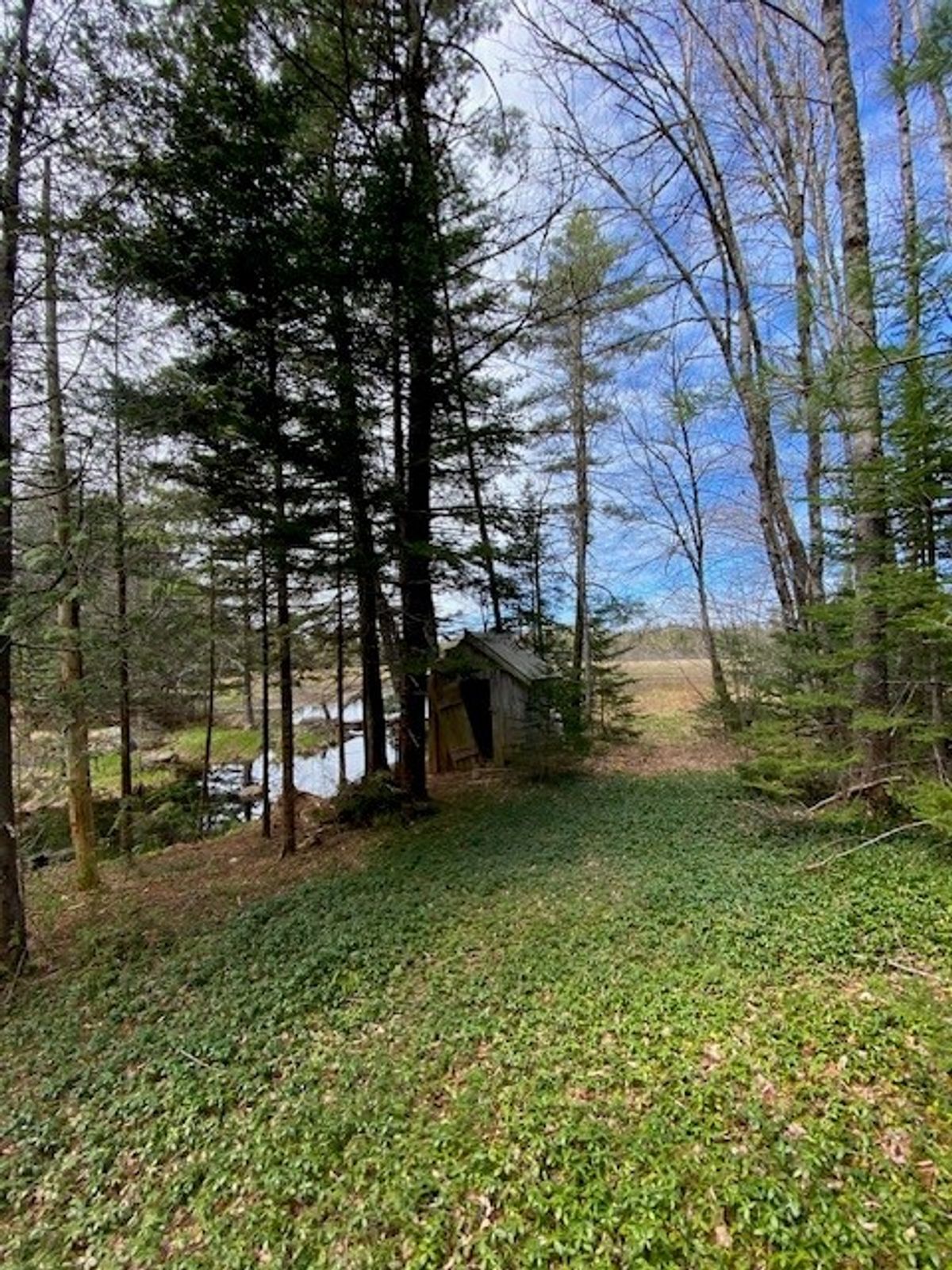 Chicken coop by the meadow. There is a brook that runs along the driveway