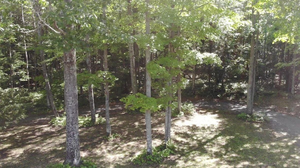 property-listing