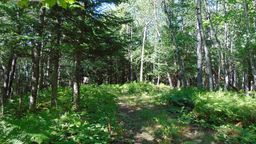 listing-thumbnails