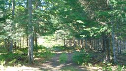 listing-thumbnails
