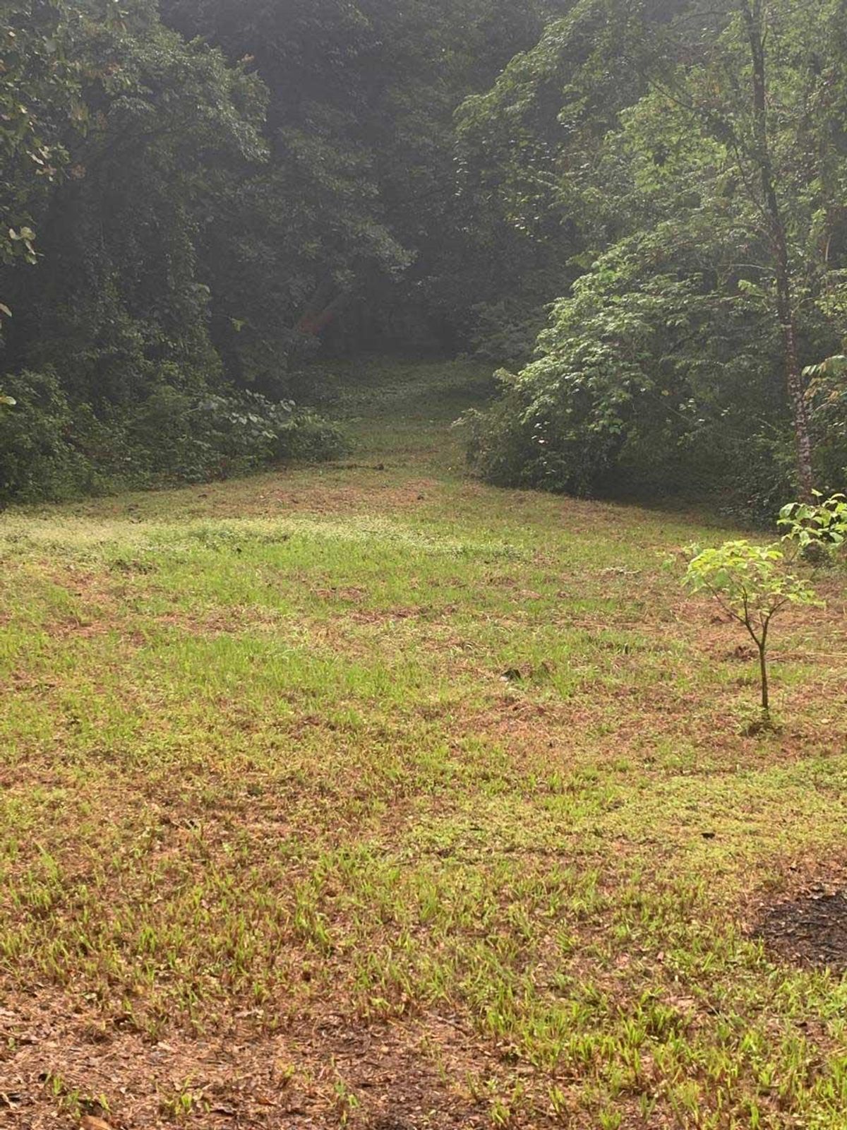 property-listing