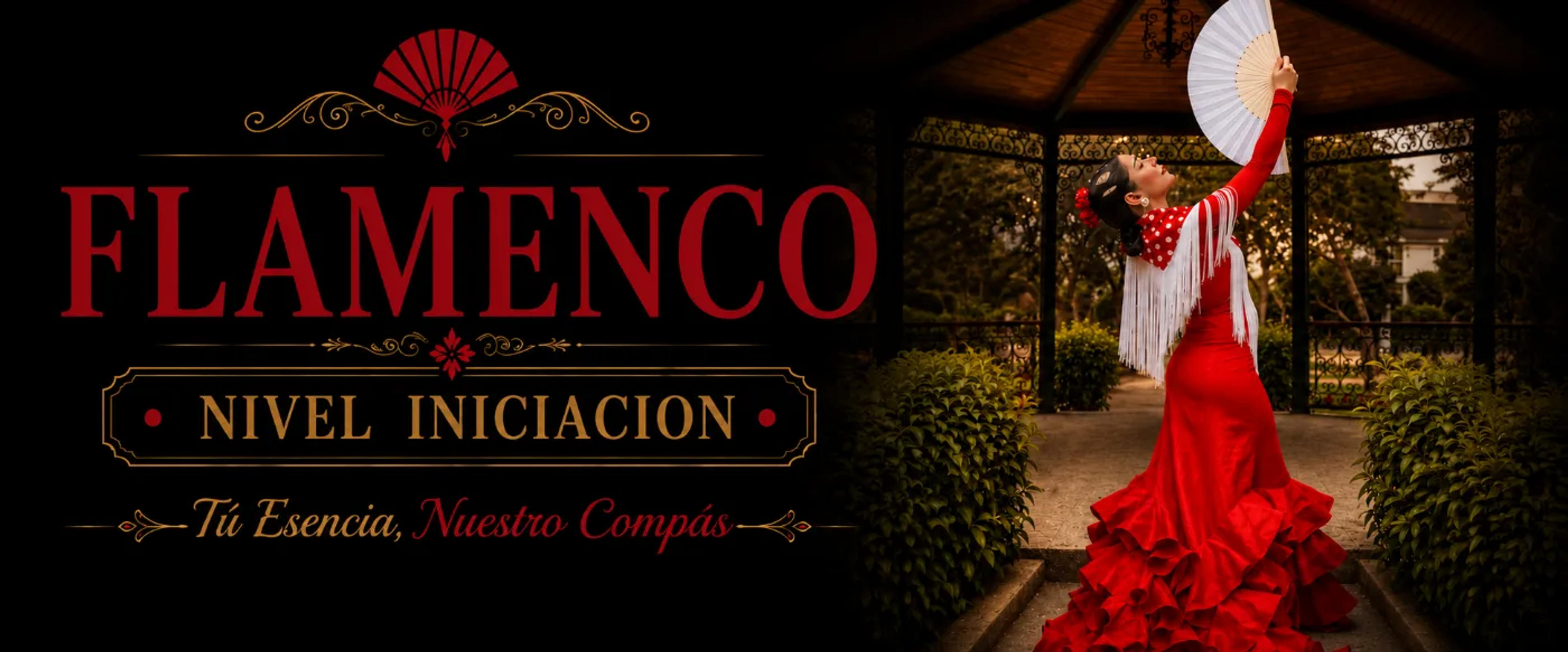 FLAMENCO INICIACION