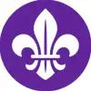Scout Of Syria logo