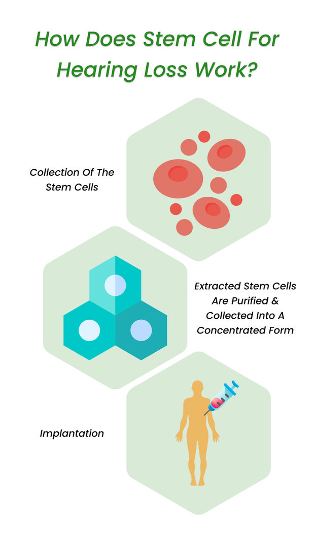 How does stem cell for hearing loss work