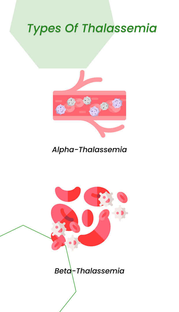 Types of Thalassemia