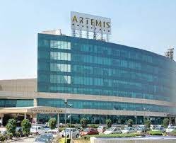 Artemis Hospital