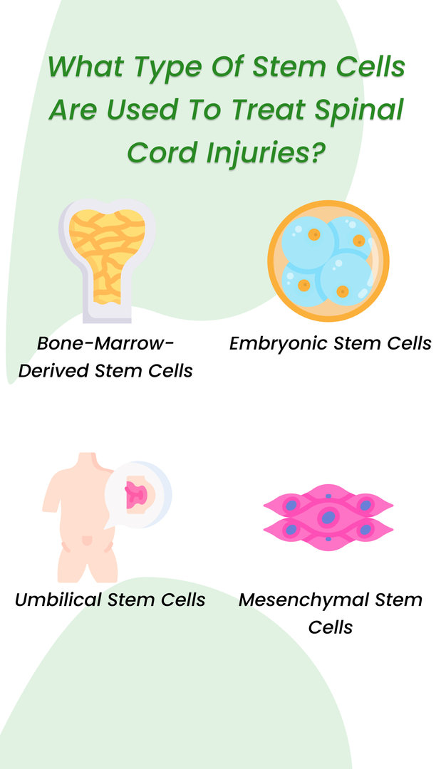 What type of stem cells are used to treat spinal cord injuries?