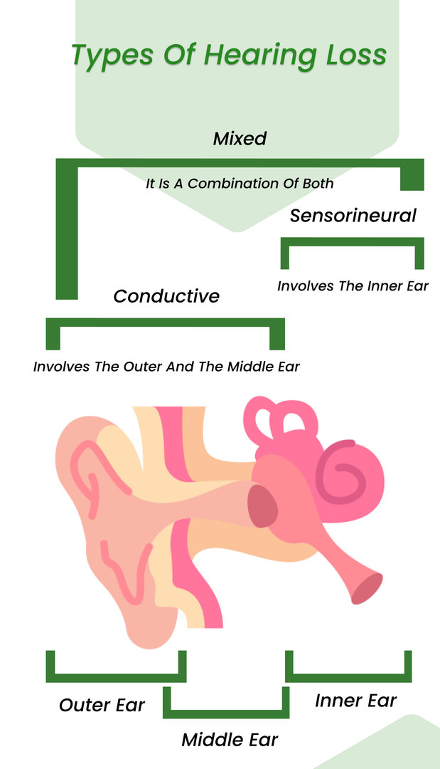 Types of Hearing Loss