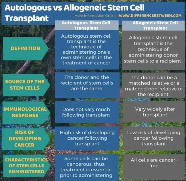 Credits: www.differencebetween.com- Autologous vs Allogeneic stem cell transplant