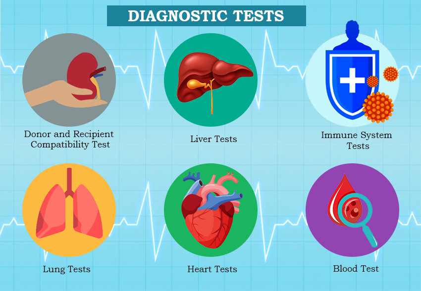 Diagnostic Tests for Kidney Transplant in India 