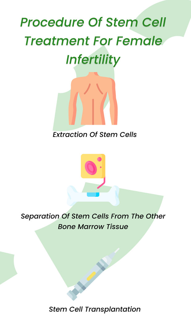 Procedure of stem cell treatment for female infertility