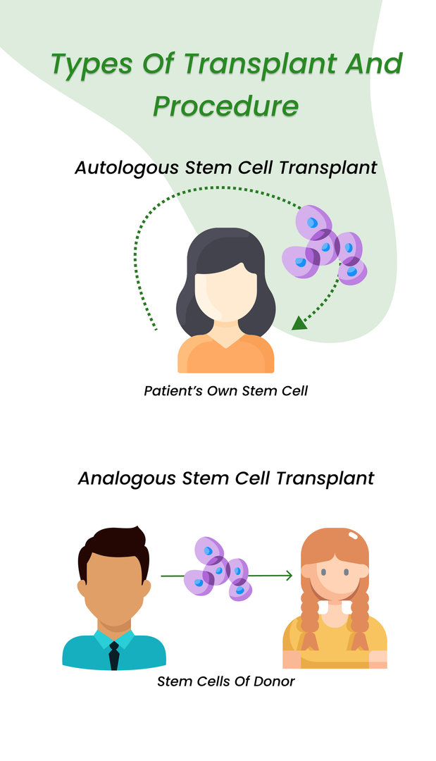 Arten der Stammzelltransplantation